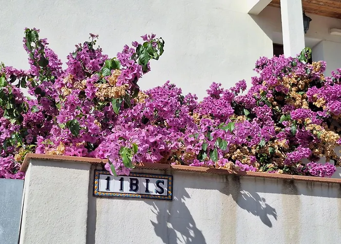 別荘 Les De Nathalie: Corneille Et Rivals *